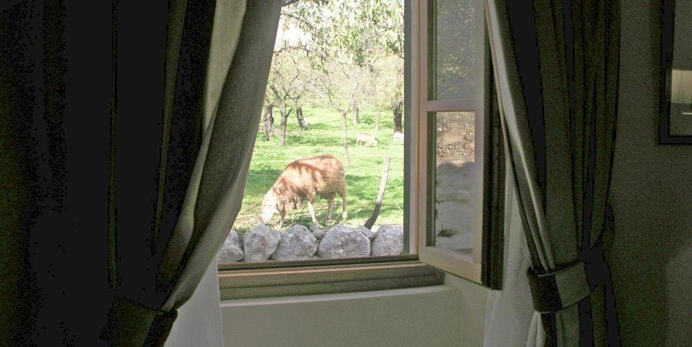 S'Hort De Cas Misser Boutique Hotel (Adults Only) Selva  Dış mekan fotoğraf
